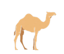 قافلة