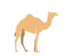 قافلة